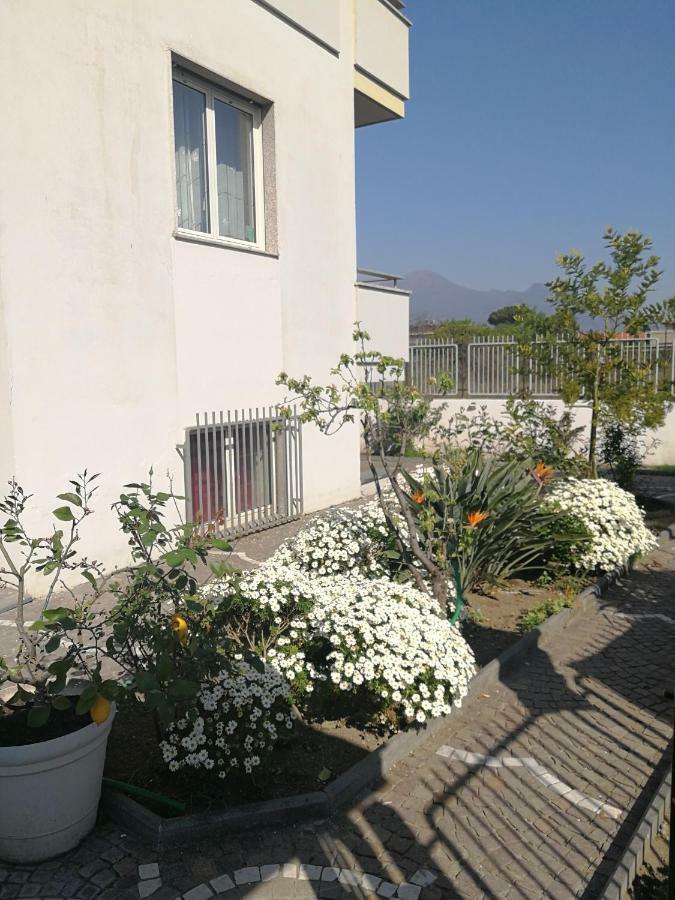 Area Domus Bed & Breakfast Pompei Ngoại thất bức ảnh